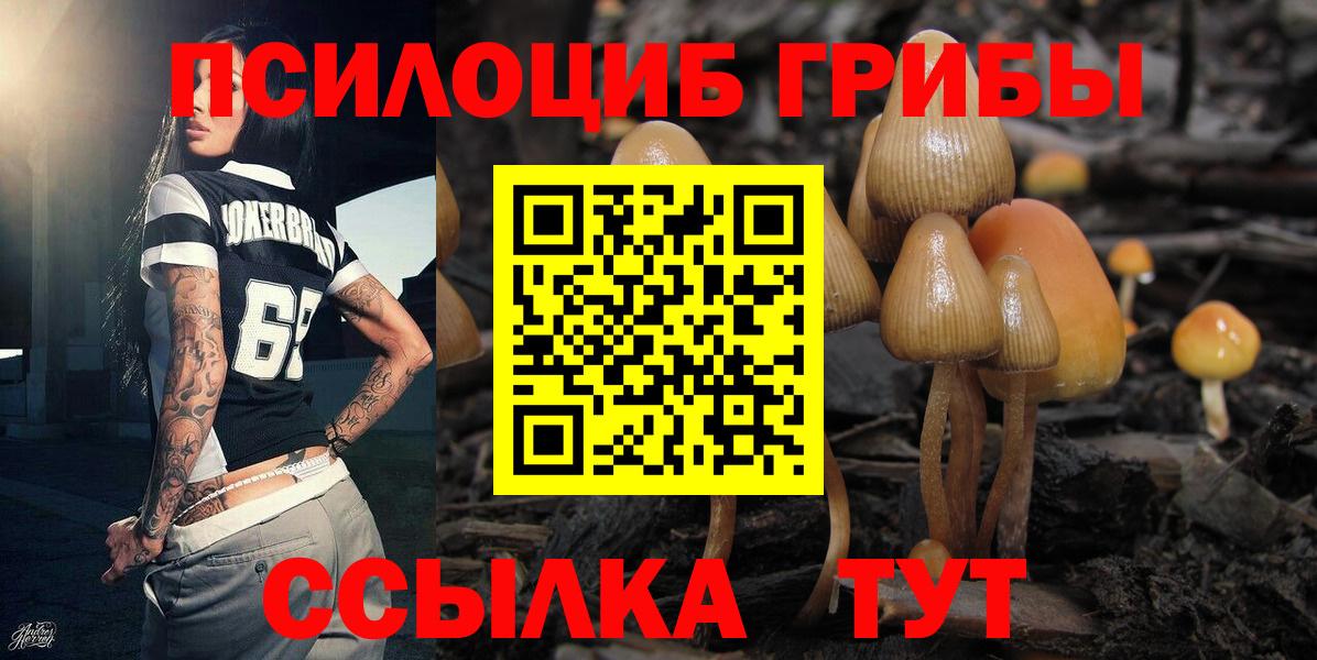 Сургут  Галлюциногенные грибы Psilocybine cubensis  Вход с VPN 