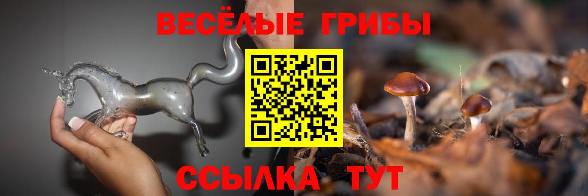 Псилоцибиновые грибы Cubensis Сургут